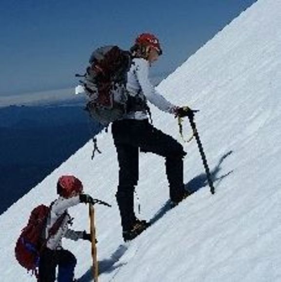 Meet your Posher, Pamela - Picture 1 of 1